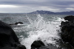 DSC06006