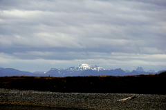 DSC06040